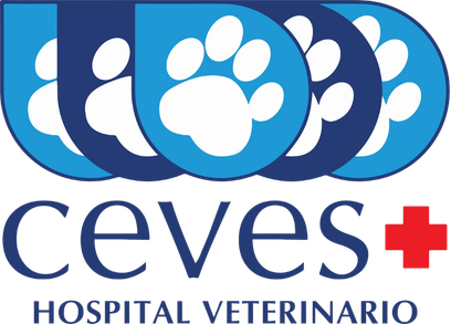 CEVES Hospital Veterinario